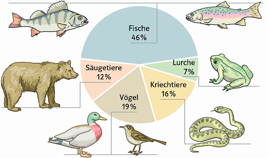 Hommingberger Gepardenforelle Infografik